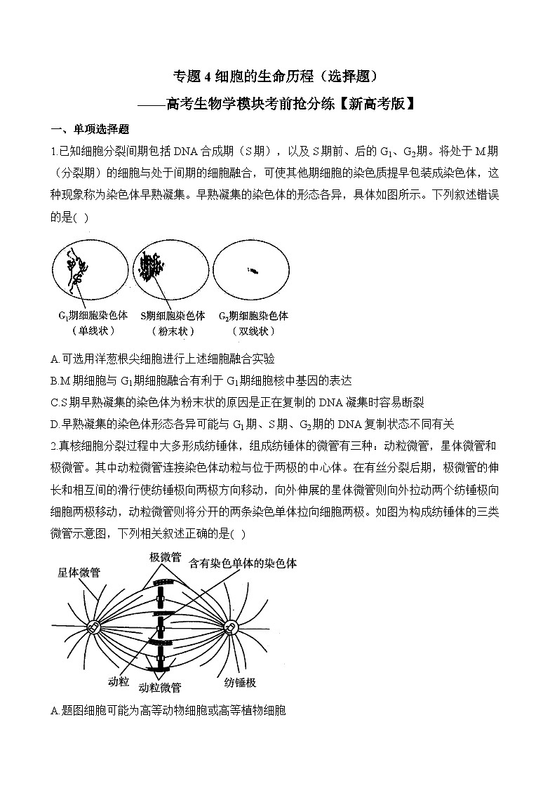 专题4 细胞的生命历程（选择题）——高考生物学模块分练【新高考版】（含解析）第1页