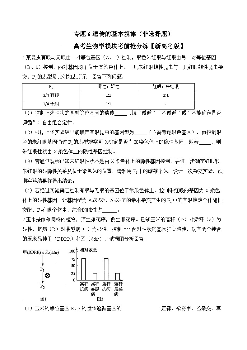 专题6 遗传的基本规律（非选择题）——高考生物学模块分练【新高考版】（含解析）第1页