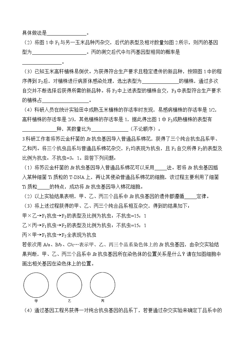 专题6 遗传的基本规律（非选择题）——高考生物学模块分练【新高考版】（含解析）第2页