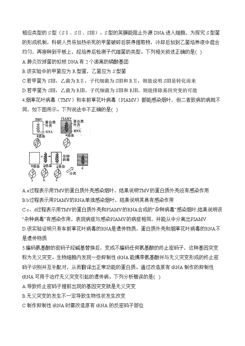 专题7 遗传的分子基础（选择题）——高考生物学模块分练【新高考版】（含解析）第2页