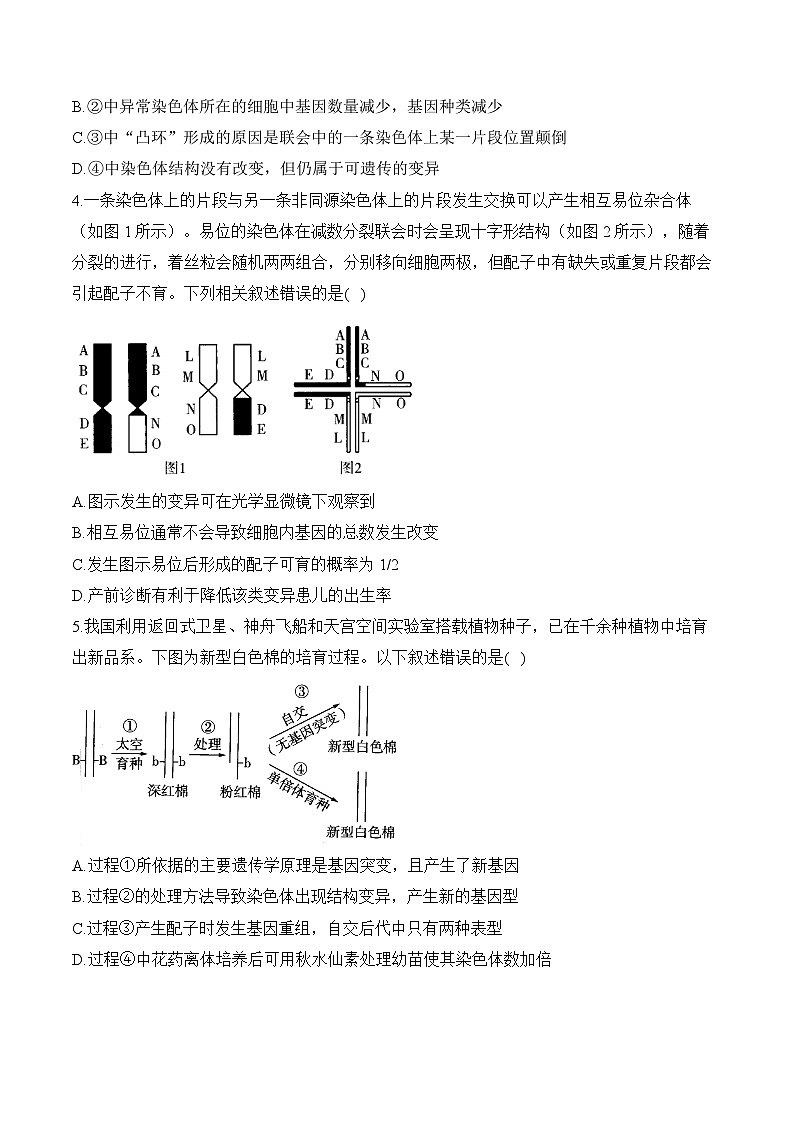 专题8 生物的变异与进化（选择题）——高考生物学模块分练【新高考版】（含解析）(1)第2页