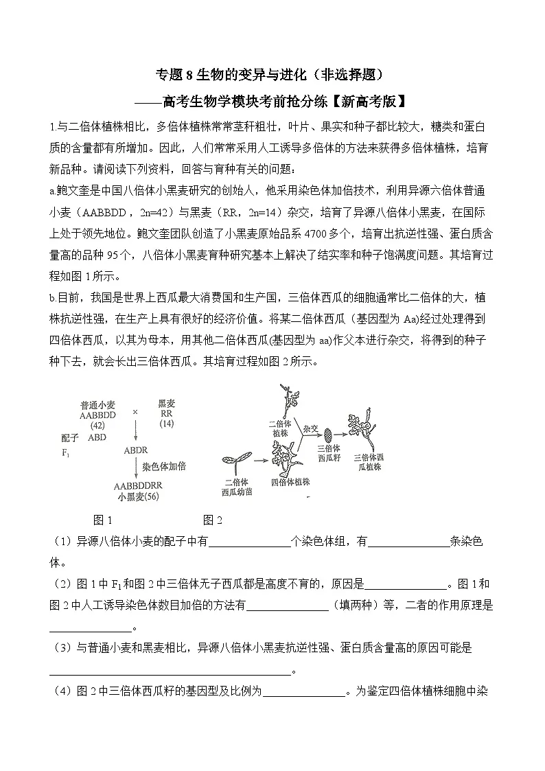 专题8 生物的变异与进化（非选择题）——高考生物学模块分练【新高考版】（含解析）第1页