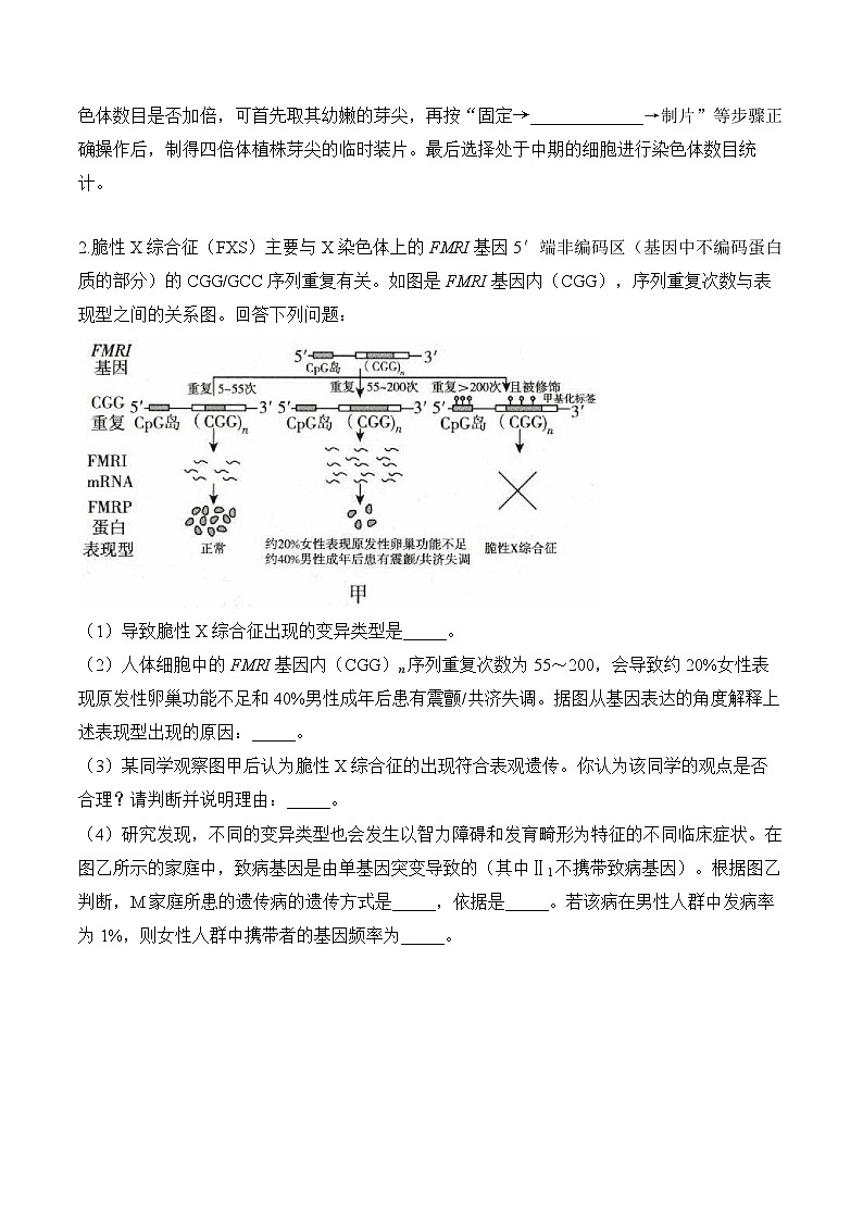 专题8 生物的变异与进化（非选择题）——高考生物学模块分练【新高考版】（含解析）第2页