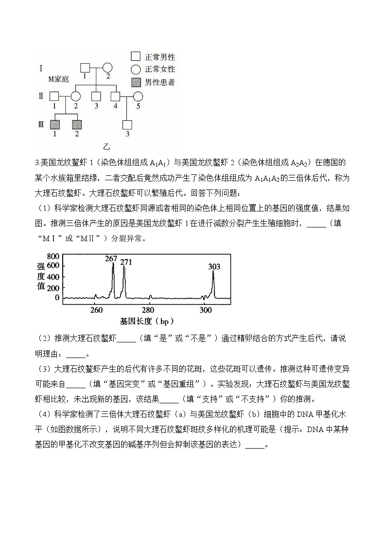 专题8 生物的变异与进化（非选择题）——高考生物学模块分练【新高考版】（含解析）第3页