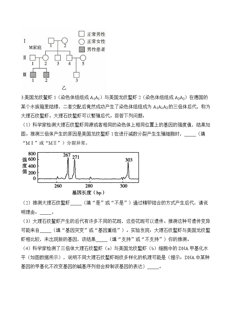 专题8 生物的变异与进化（非选择题）——高考生物学模块分练【新高考版】（含解析）第3页
