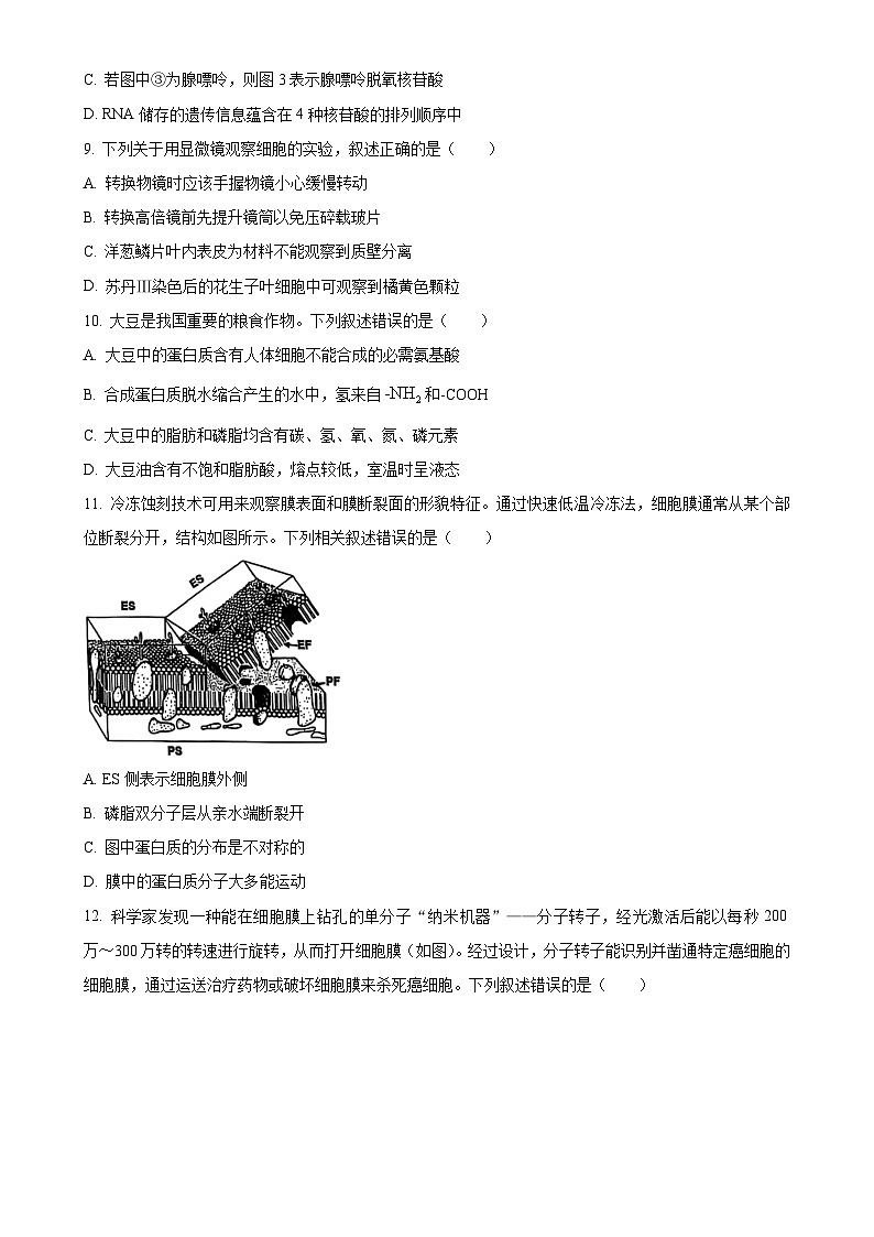广东省佛山市南海区高一上学期12月月考生物试题-A4第3页