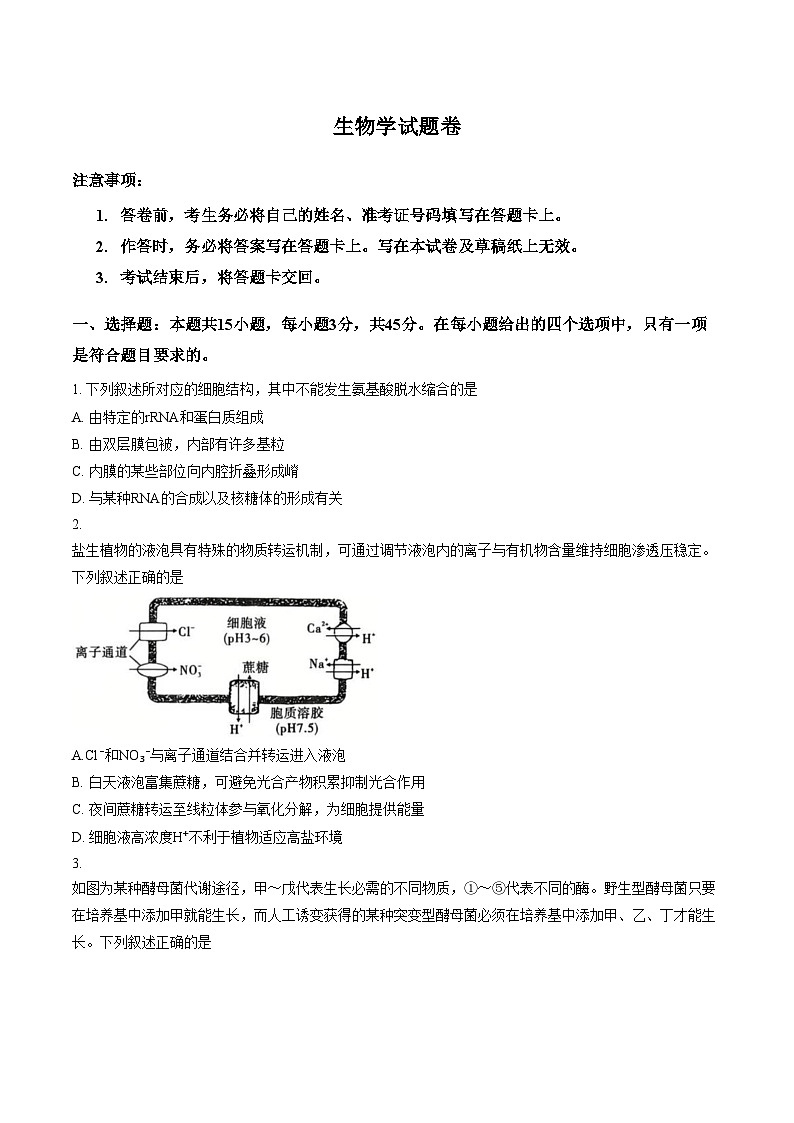重庆市第一中学校2025_2026学年高三下学期3月月考生物试题（文字版，含答案）第1页