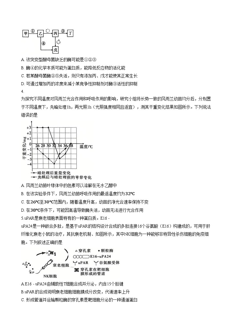 重庆市第一中学校2025_2026学年高三下学期3月月考生物试题（文字版，含答案）第2页