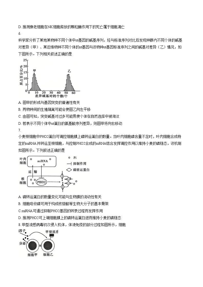 重庆市第一中学校2025_2026学年高三下学期3月月考生物试题（文字版，含答案）第3页