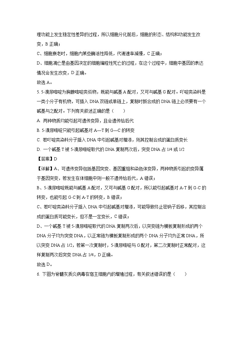【生物】河北省沧州市2025-2026学年高三上学期2月期末试题（解析版）第3页