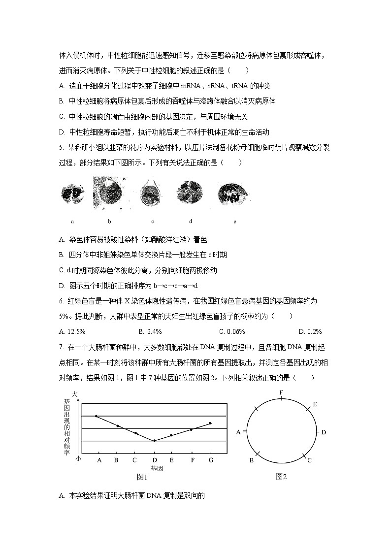 【生物】山西临汾市2025-2026学年度高三年级第一学期期末考试（学生版）第2页