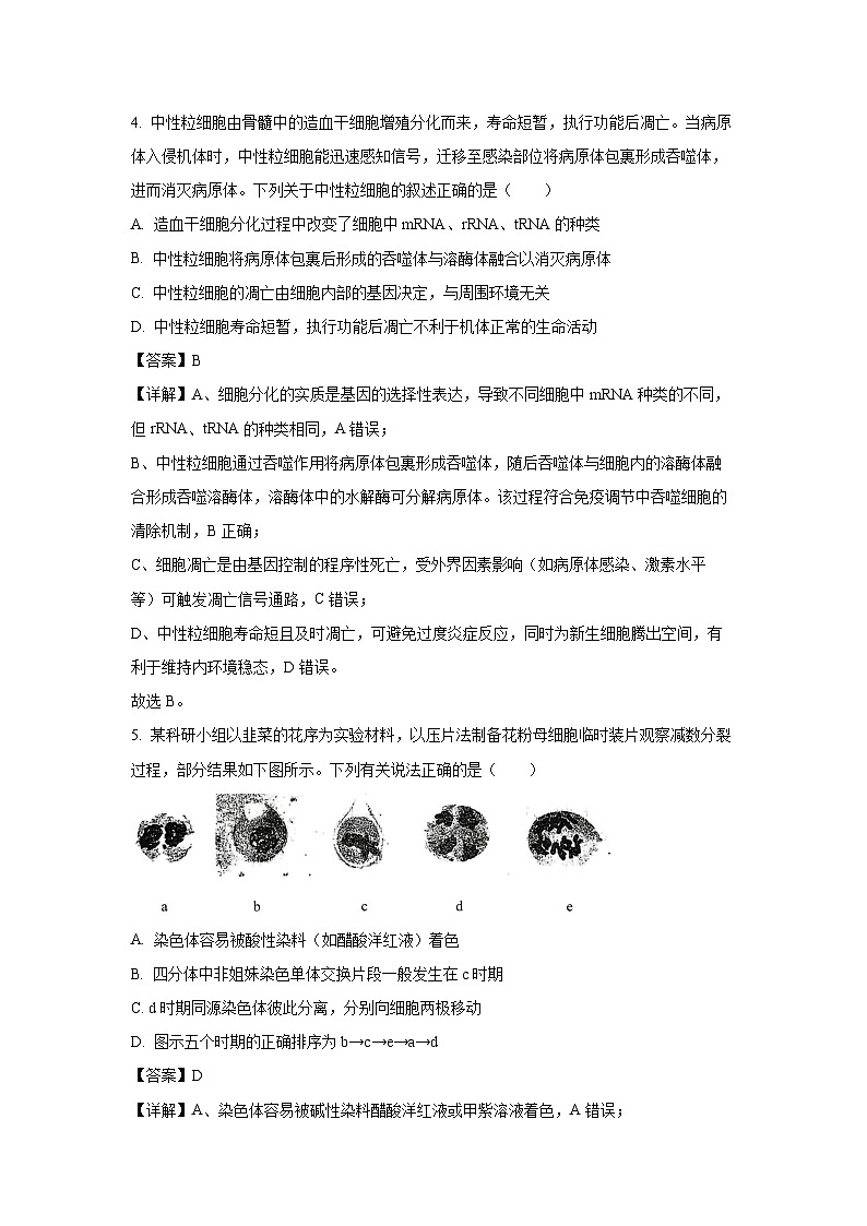 【生物】山西临汾市2025-2026学年度高三年级第一学期期末考试（解析版）第3页