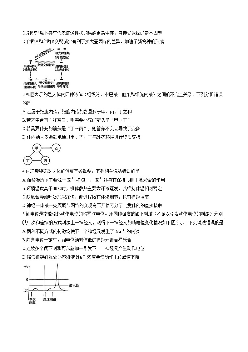 湖北黄冈市2025_2026学年高二年级上学期期末考试生物学试题（文字版，含答案）第2页