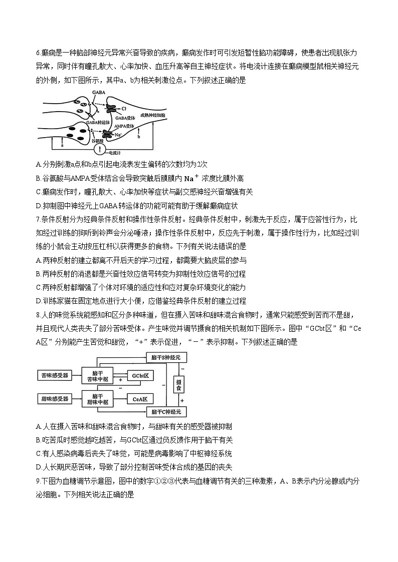 湖北黄冈市2025_2026学年高二年级上学期期末考试生物学试题（文字版，含答案）第3页