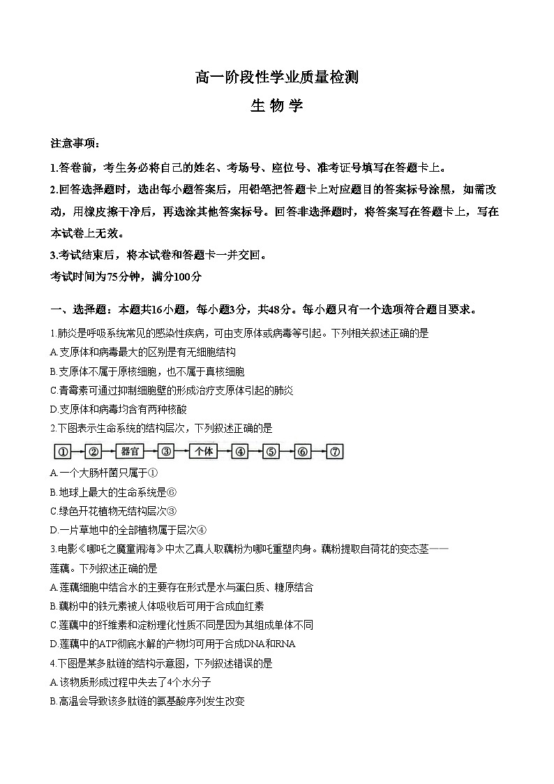 河南省平顶山市2025_2026学年高一下学期3月学情自测生物试题（文字版，含答案）第1页