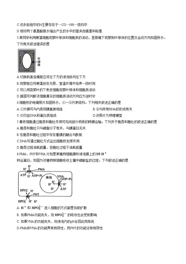 河南省平顶山市2025_2026学年高一下学期3月学情自测生物试题（文字版，含答案）第2页