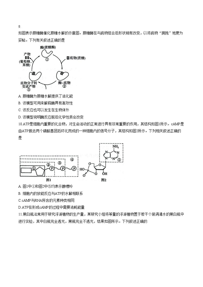 河南省平顶山市2025_2026学年高一下学期3月学情自测生物试题（文字版，含答案）第3页