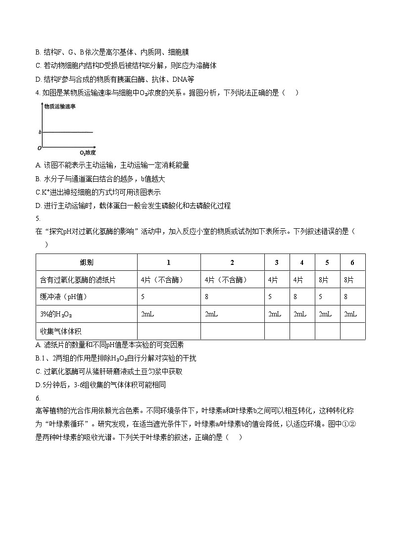 甘肃省兰州第一中学2025_2026学年高一下学期开学考试生物试卷（文字版，含答案）第2页
