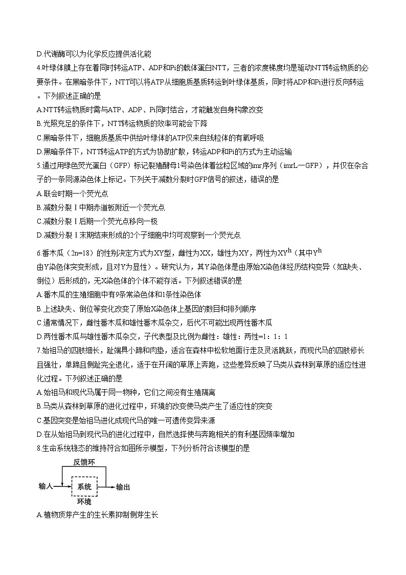 2026届河北百师联盟高三下学期一模生物试题（文字版，含答案）第2页
