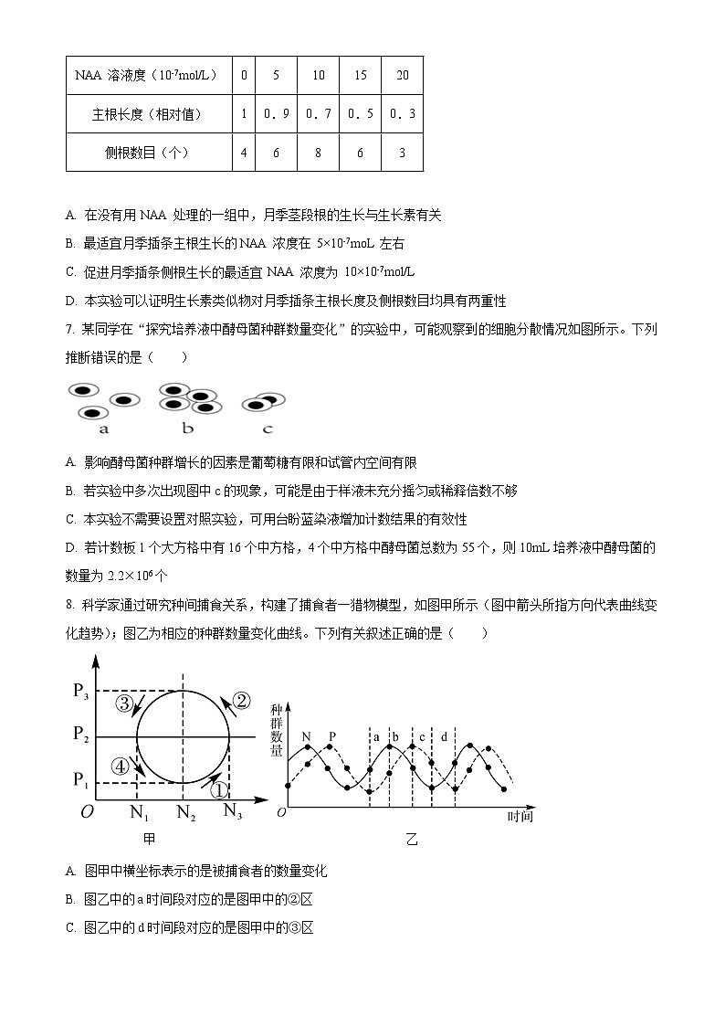 山东省济宁育才中学2024-2025学年高二下学期开学考试生物试题（原卷版）第3页