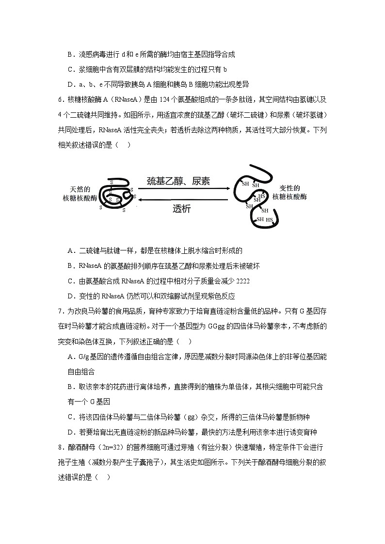 2026年东北三省三校高三下学期第一次联合模拟考试生物试题（附答案解析）第2页