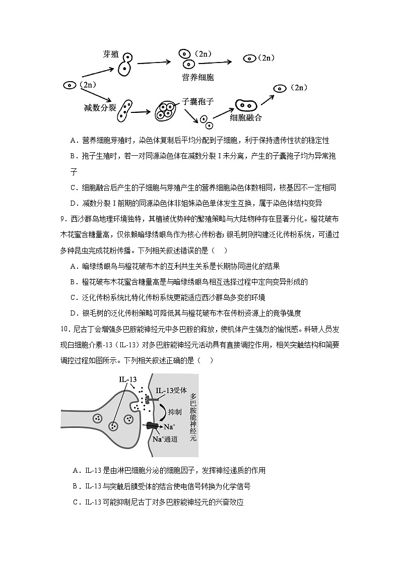 2026年东北三省三校高三下学期第一次联合模拟考试生物试题（附答案解析）第3页