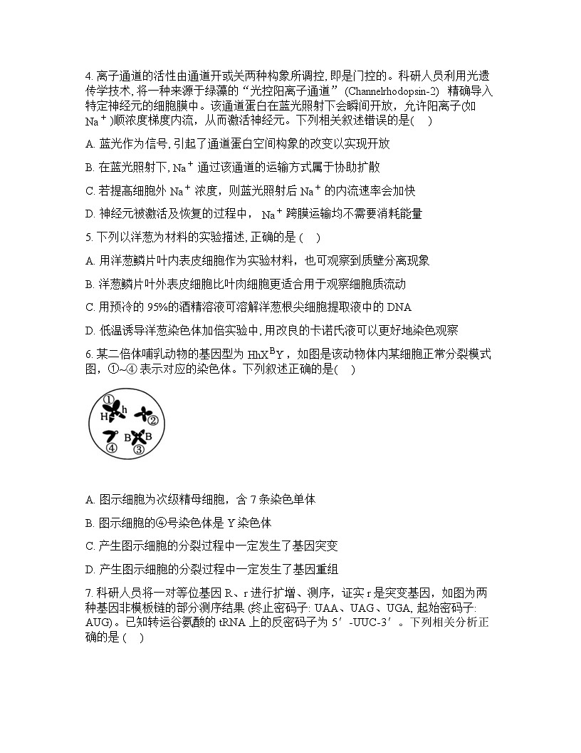 2026年四川省德阳市高三年级下学期3月联考生物试卷含答案第2页