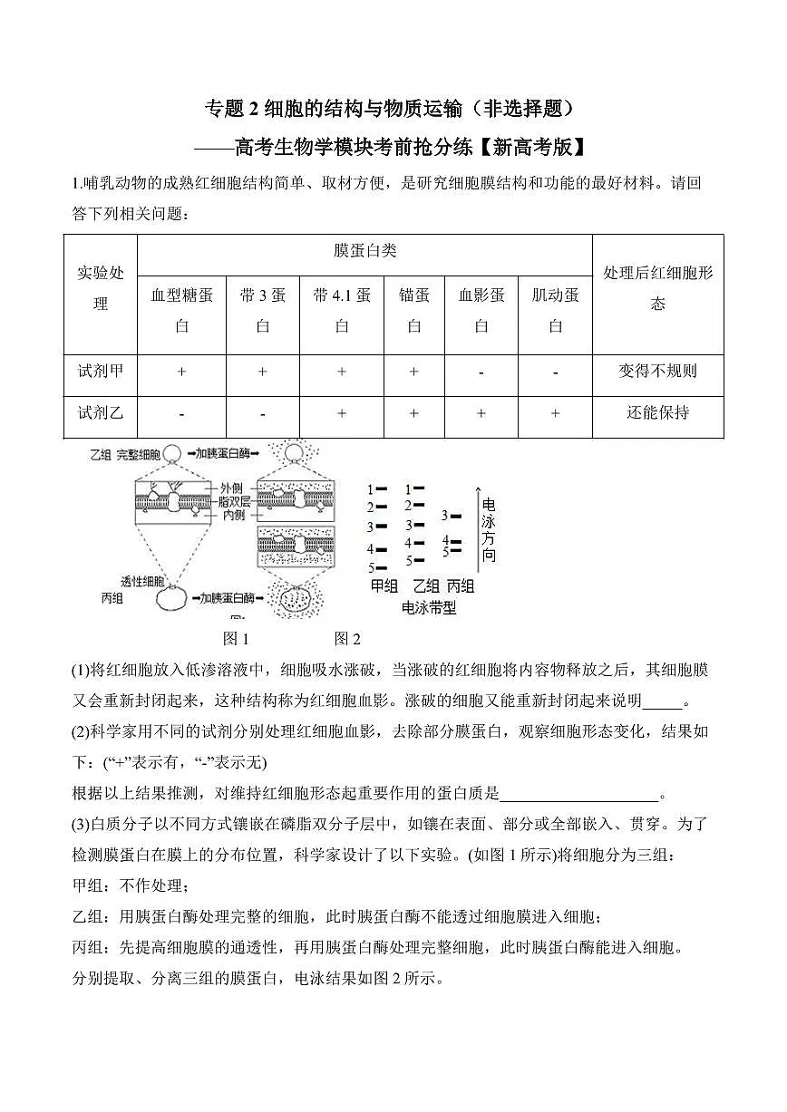 专题2 细胞的结构与物质运输（非选择题）——高考生物学第一轮复习模块分练【新高考版】（含解析）第1页