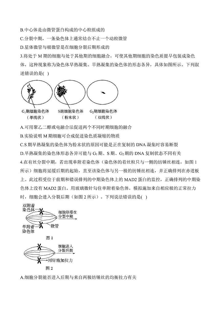 专题4 细胞的生命历程（选择题）——高考生物学第一轮复习模块分练【新高考版】（含解析）第2页