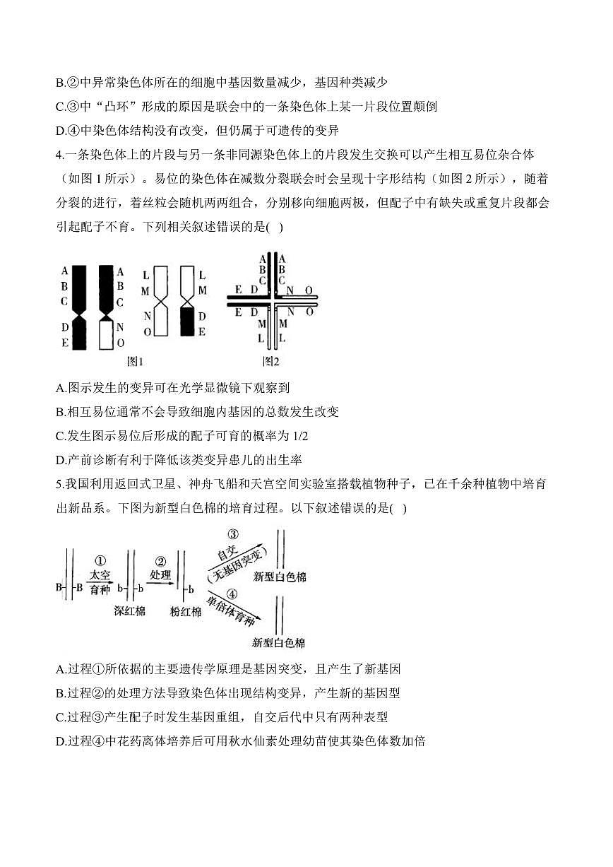 专题8 生物的变异与进化（选择题）——高考生物学第一轮复习模块分练【新高考版】（含解析）第2页