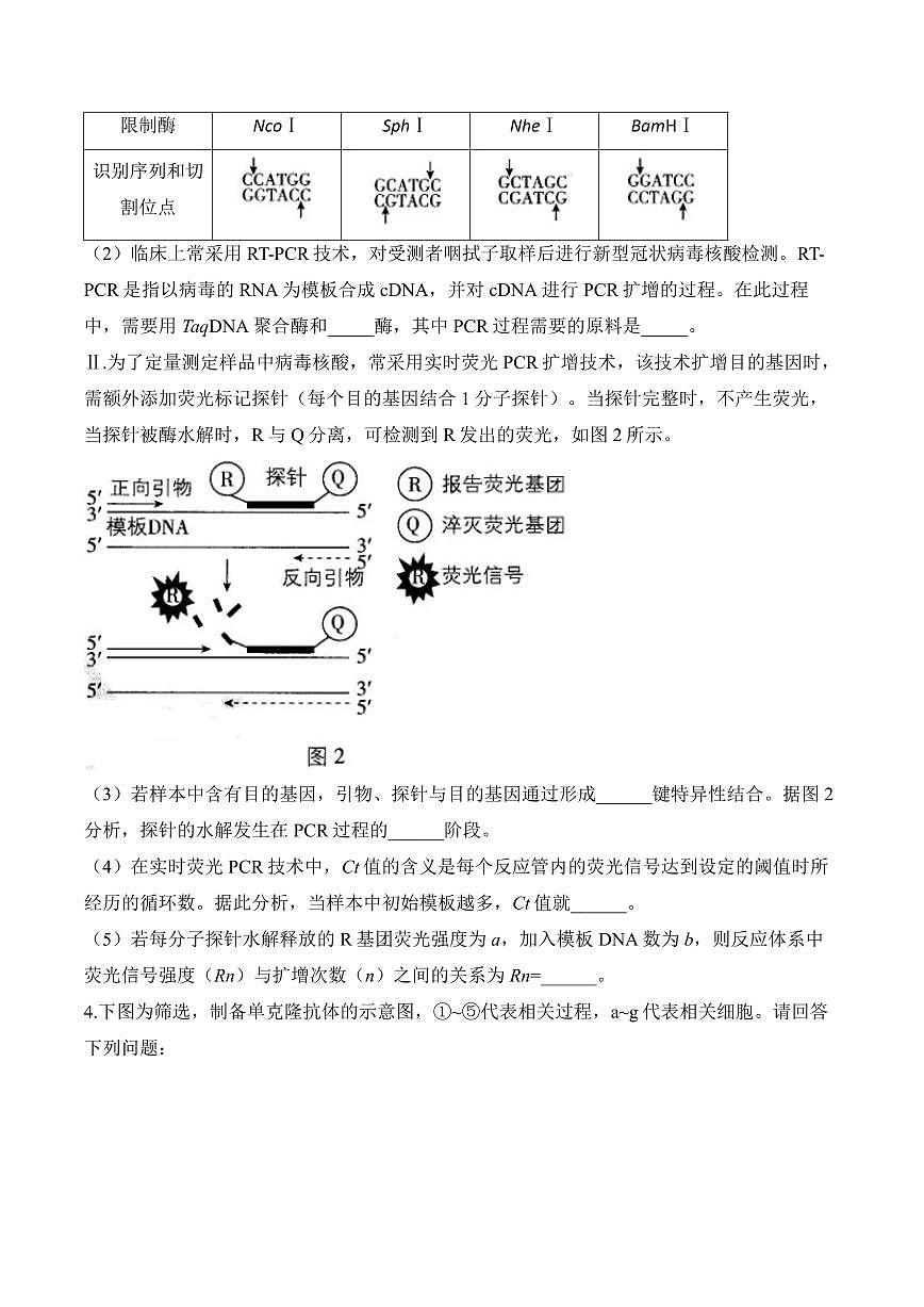 专题12 生物技术与工程（非选择题）——高考生物学第一轮复习模块分练【新高考版】（含解析）第3页