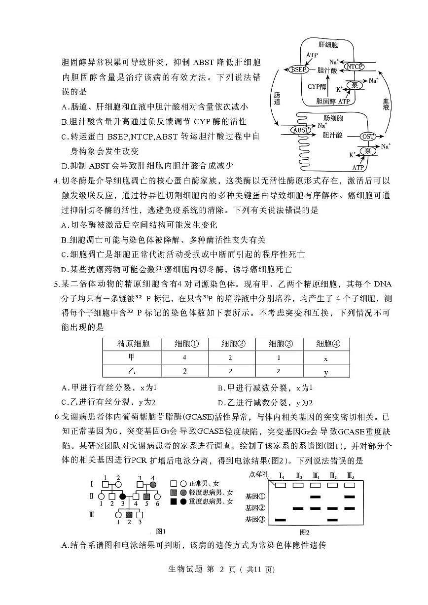 2026届山东省临沂市下学期高三一模考试 生物试题+答案第2页