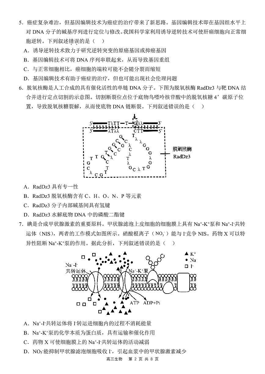 广东省惠州市惠东县高三下学期2月第三次质量检测生物试题(1)第2页