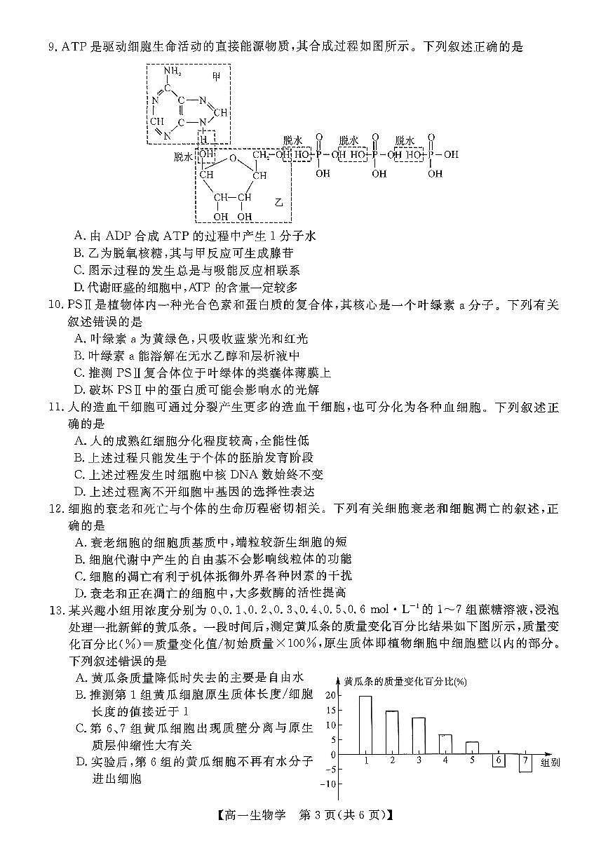 广西壮族自治区北海市2025-2026学年高一上学期期末生物试卷含答案第3页