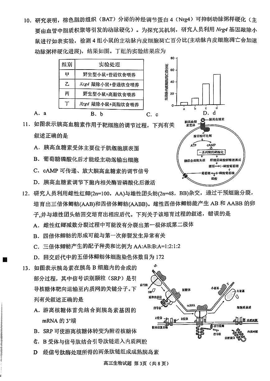 【生物】泉州市2025届高中毕业班适应性练习卷第3页