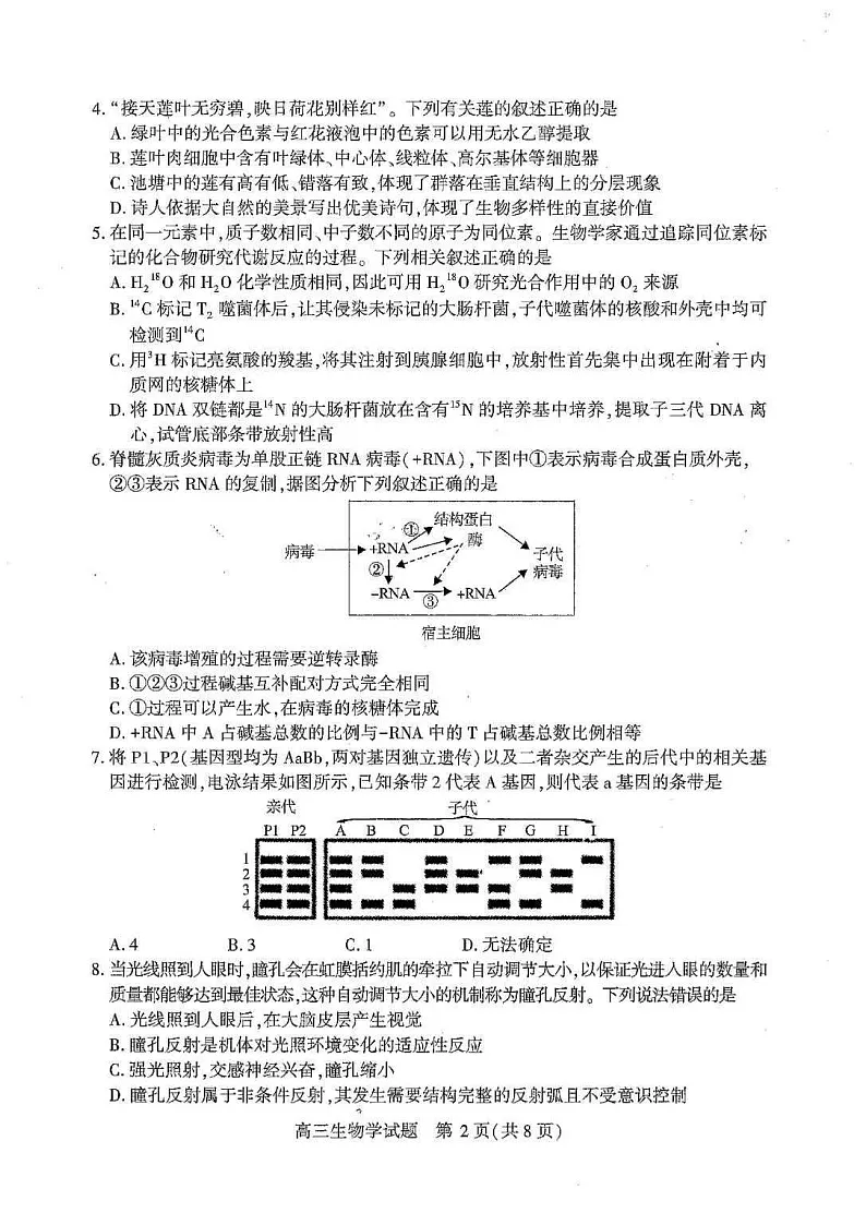 湖北省襄阳市2026届高三下学期3月一模统一调研测试生物试题第2页