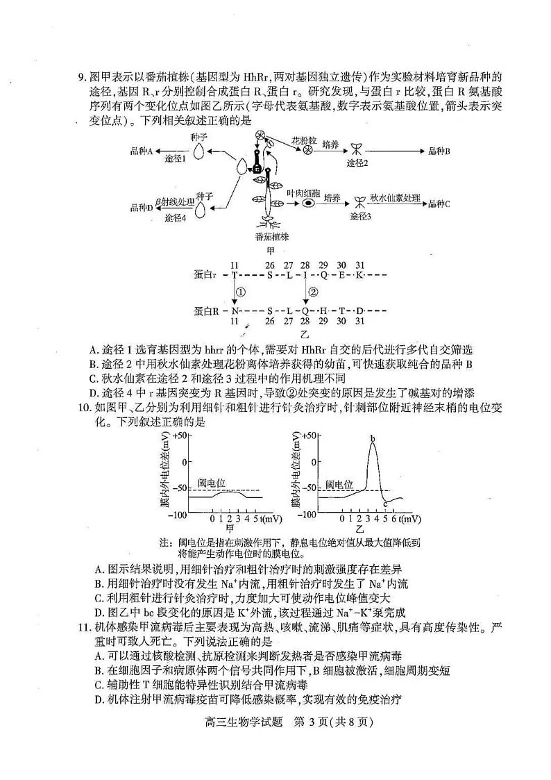 湖北省襄阳市2026届高三下学期3月一模统一调研测试生物试题第3页