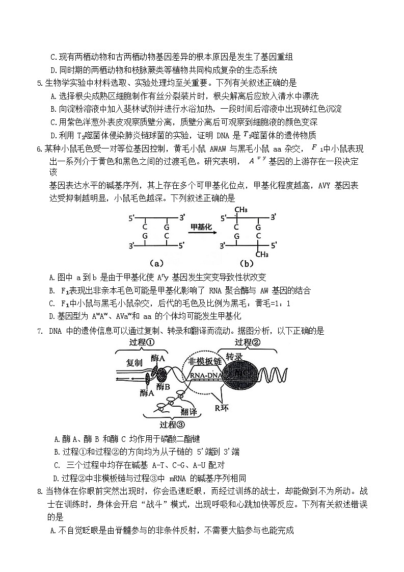 山西省大同市2026届高三下学期高考一模生物试卷第2页