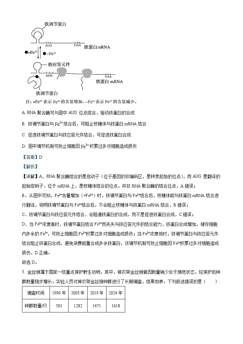 安徽省天一联考2025-2026学年高三上学期1月月考生物试题（解析版）第3页