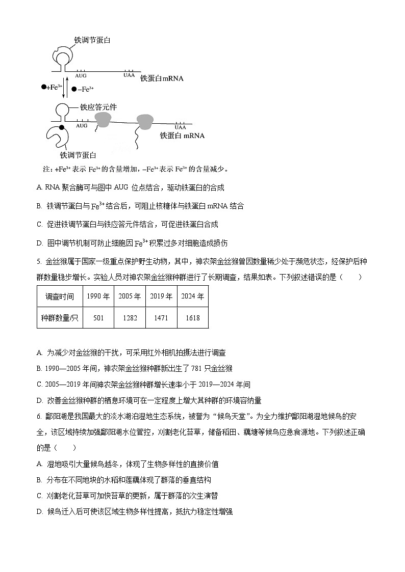 安徽省天一联考2025-2026学年高三上学期1月月考生物试题（原卷版）第2页