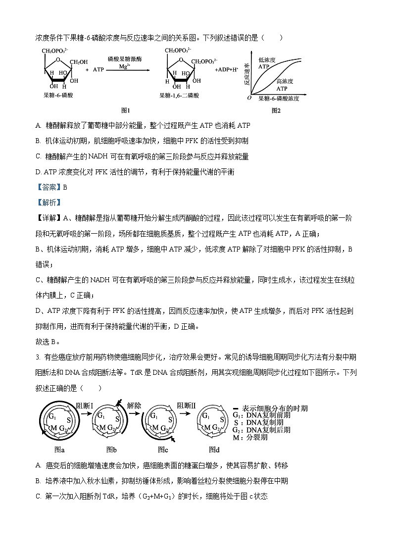 安徽滁州市2026届高三年级第一次教学质量监测生物试题（解析版）第2页