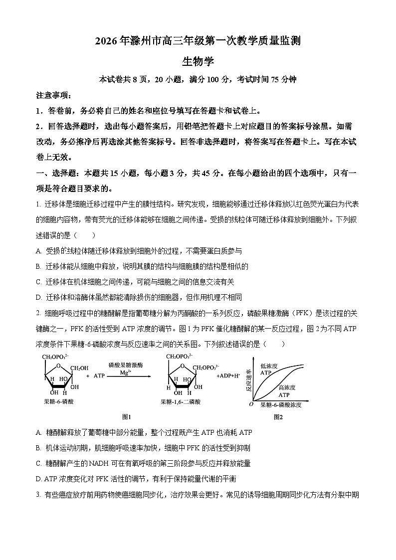 安徽滁州市2026届高三年级第一次教学质量监测生物试题（原卷版）第1页