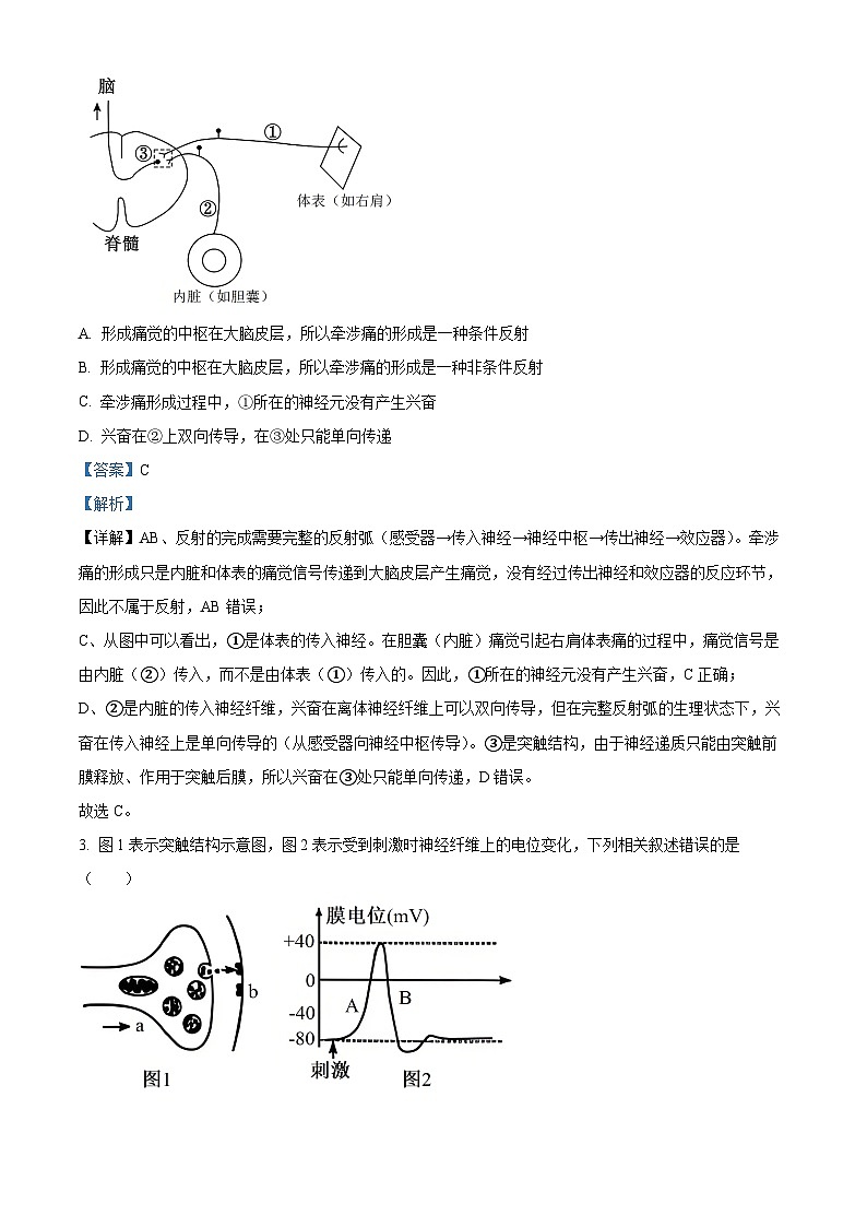 安徽省芜湖市镜安徽师范大学附属中学2025~2026第一学期期末教学质量监控 高二生物试卷（解析版）第2页