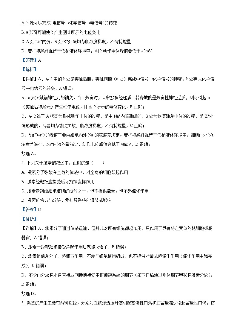 安徽省芜湖市镜安徽师范大学附属中学2025~2026第一学期期末教学质量监控 高二生物试卷（解析版）第3页