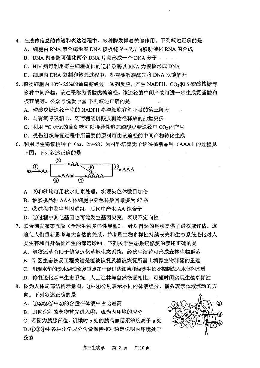 2026届吉林延边朝鲜族自治州高三下学期一模生物试题第2页