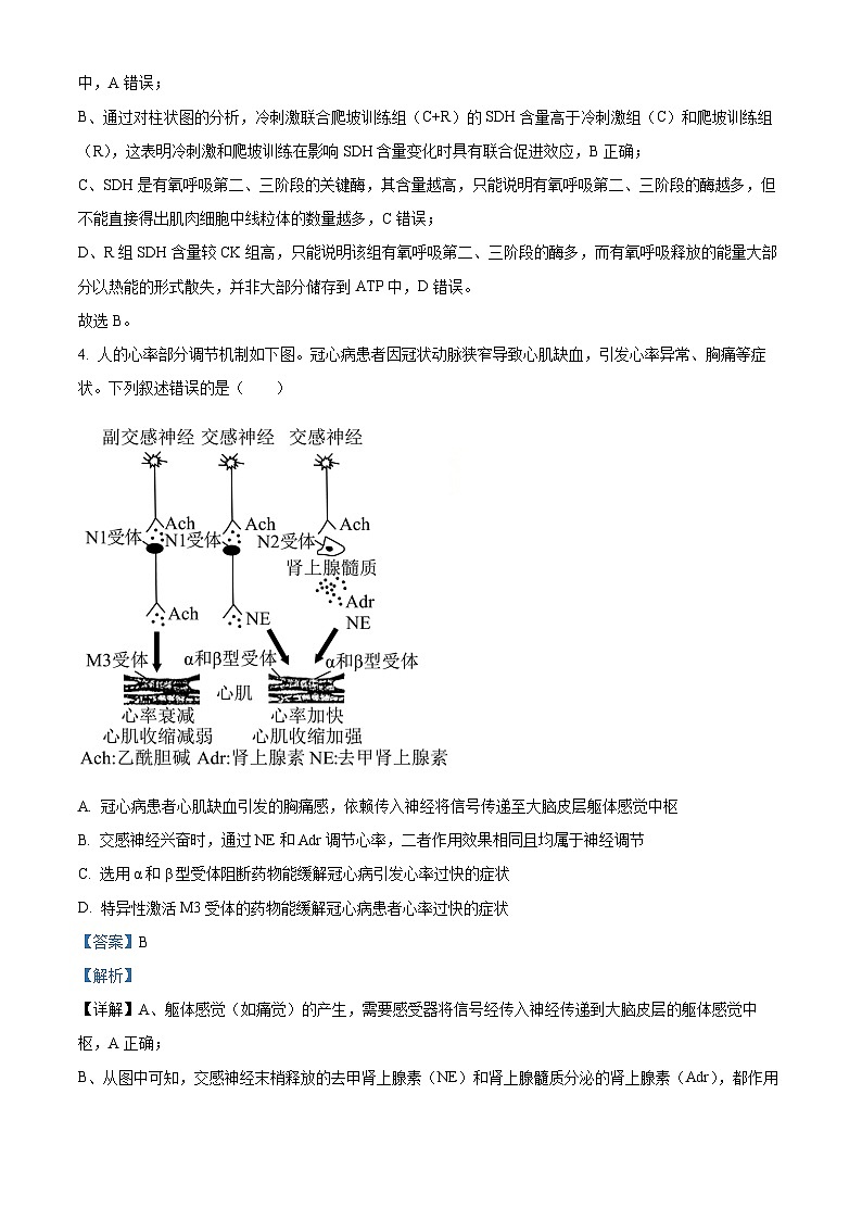 安徽马鞍山市2025—2026学年高三第一次教学质量监测生物试卷（解析版）第3页