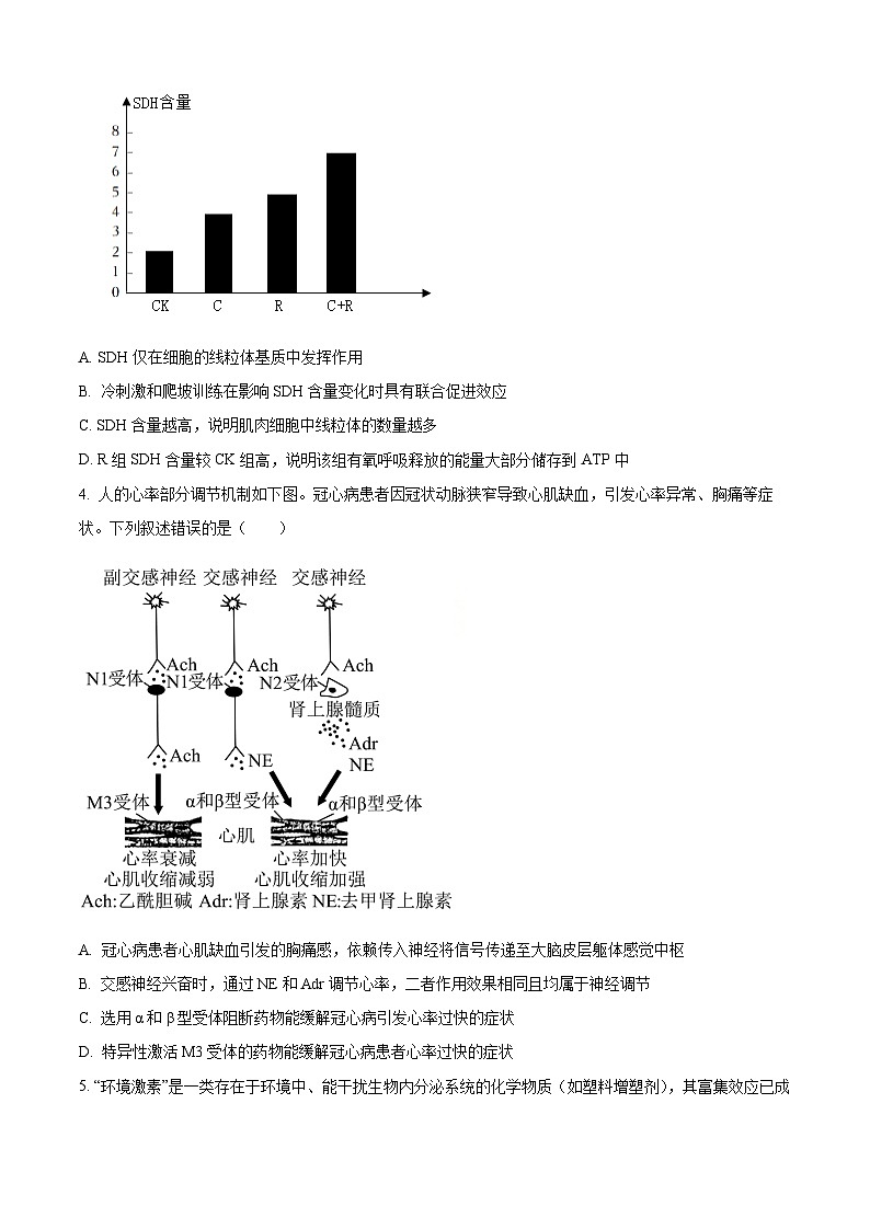 安徽马鞍山市2025—2026学年高三第一次教学质量监测生物试卷（原卷版）第2页