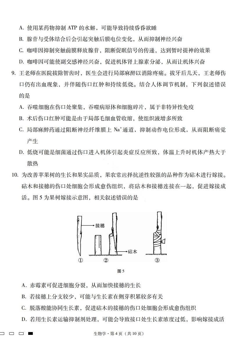 2026届云南三校高考备考实用性联考卷（六）生物第3页