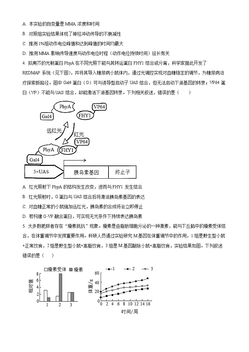 安徽六安市第一中学2025年秋学期高二年级期末考试生物试卷（原卷版）第2页
