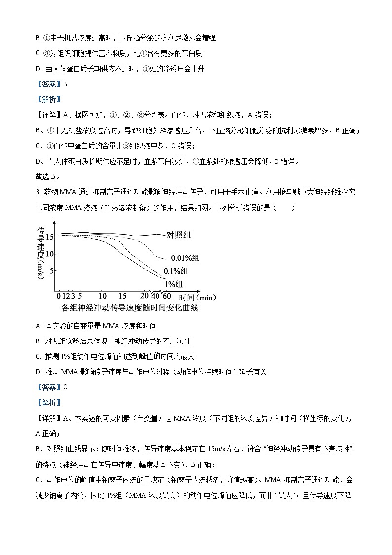 安徽六安市第一中学2025年秋学期高二年级期末考试生物试卷（解析版）第2页